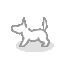 CXg3