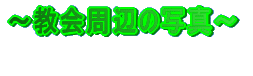 `苳̎ʐ^`