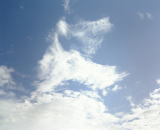 �w�Z�̉���ɂā@���ڂ�_