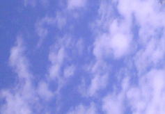 �w�Z�̉���ɂā@�܂���_