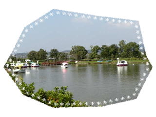 �A�q���{�[�g�̎ʐ^