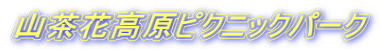RԍsNjbNp[N