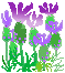 ̑